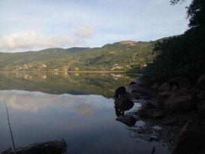 Amplo Terreno com Linda Vista e Acesso à Lagoa, Costa de Macacu | Garopaba - SC