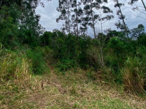 Ótimo Terreno, Macacu | Garopaba - SC