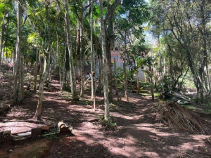 Amplo Terreno a 70 m da Cachoeira e 1,5 km da Praia do Siriú, Siriú | Garopaba - SC
