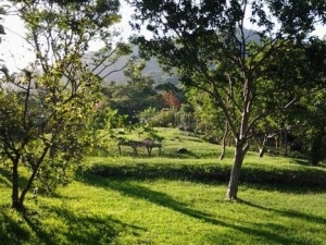 Amplo Terreno em Meio à Natureza, a Poucos Minutos do Centro da Cidade, Siriú | Garopaba - SC