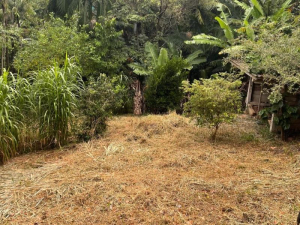 Amplo Terreno Próximo a Cachoeira e Praia do Siriú, Siriú | Garopaba - SC