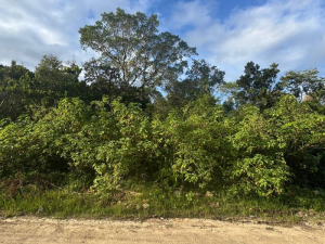Amplo Terreno a 700 m da Praia da Barra, Encantada | Garopaba - SC