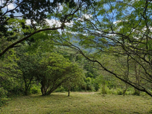 Ótimo Terreno de Esquina, em Meio a Natureza, com Linda Vista, Encantada | Garopaba - SC