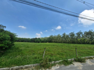 Amplo Terreno de 1,7 Hectare, a Poucos Minutos das Praias do Rosa e Ouvidor, bairro Limpa | Garopaba - SC