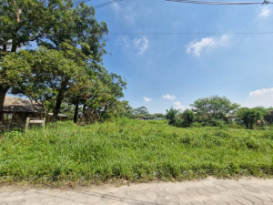 Amplo Terreno a Poucos Minutos do Centro da Cidade, Próximo às Praias do Rosa e Ouvidor, Limpa | Garopaba - sc