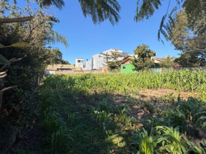 Ótimo Terreno Localizado ao Lado do Centro da Cidade, Ferraz | Garopaba - SC