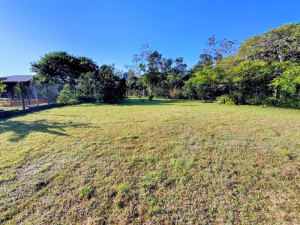 Amplo Terreno a Poucos Metros da Lagoa da Ibiraquera, Surfland e Praia do Rosa, Limpa | Garopaba - SC